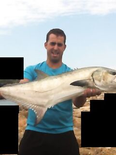 Ла Пинеда, Салоу — утро и вечер по морским хищникам