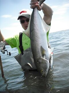 Дельта Эбро и форель: короткий отчёт без ссылок