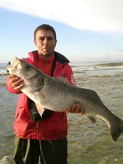 После дождей - морская рыбалка по лавраку на сливах