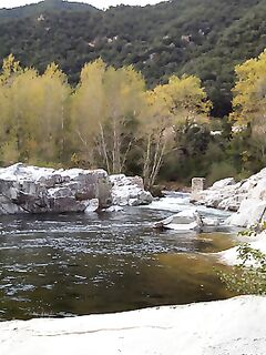 Как вести приманку на кальмара и нужен ли налобник?