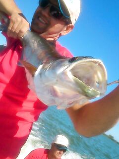 Дельта Эбро — попперы по луфарю, «взяли и забрали»