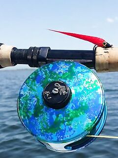 Каталуния, мушки: продолжение и уточнения