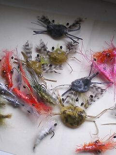 Каталуния, морские мушки: показал свои варианты и жду мнение