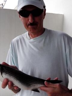 Испания, Бенальмадена — хлебная снасть и битвы у поплавка