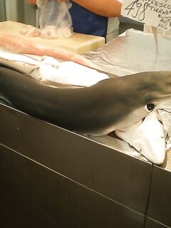 Финальные фото к отчёту — без координат и «секретов»