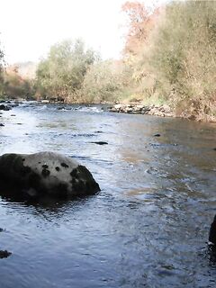 Поздняя осень на горной, воблеры рулят, 26 хвостов