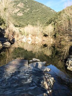 Река Тер ниже Susqueda: форелевый участок и аккуратность