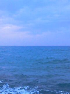 Шторм испортил «окно», ставрида и непонятный зверь