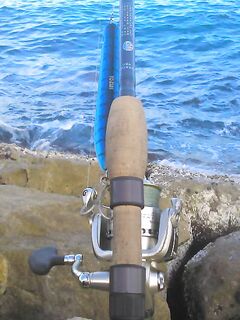 Луфариный вечер — лёгкая зыбь и Yo-Zuri Surface Cruiser 150