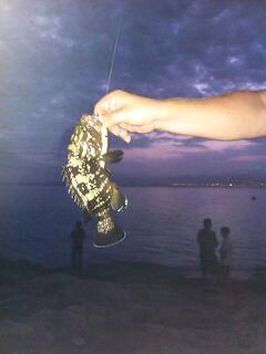 Каталуния: вечерний выход и «чудо-юдо» на воблер