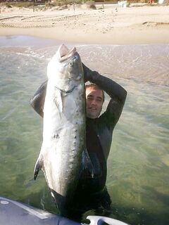 Подводная охота в Испании: лицензия за ~50 € и жёсткий запрет в пресной