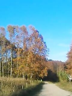 Осенняя Каталуния, рыбалка и тишина на воде