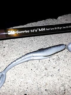 Ночная Каталуния: морская рыбалка и лаврак на Yokozuna Dardo