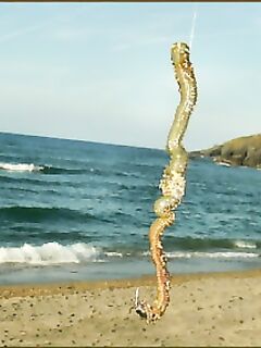 Американо вместо кореано - выбор наживки на донку в Каталунии