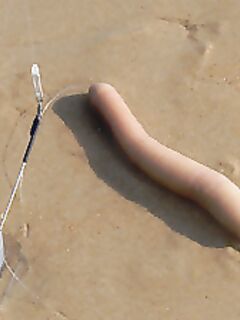 Тита и американо как насаживать правильно без лишних ссылок