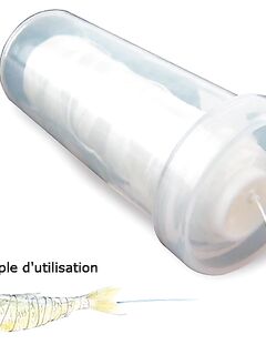 Креветка, моллюск и эластичная нитка для насадки — заметки по рыбалке