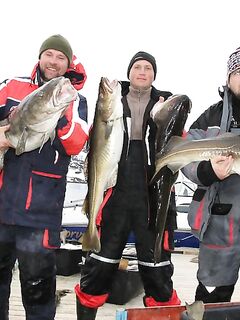 Seiland Brygge, 26.04.2013: старт сезона и морская рыбалка рядом