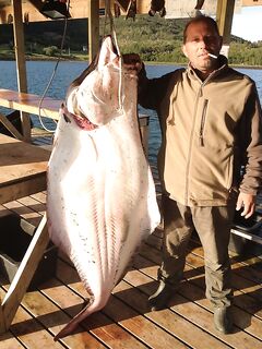 26.06.2013 — палтусёнок оформлен как трофей на базе