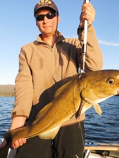 Seiland Brygge: палтусы 13/4/3 кг и маршрут через Рованиеми