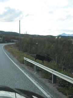 Отчёт позже, вернусь с дачи — короткая пометка