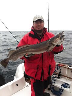 Пик прилива 14:00: спокойный выход и восемь мерлуз