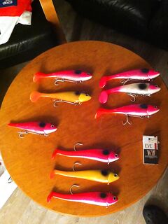 Royber в местном магазине новинки и первый палтусёнок