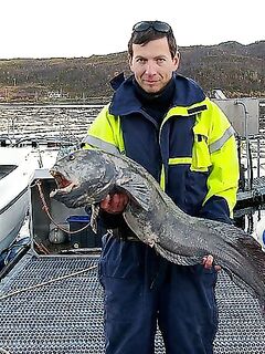 Зубатки Норвегии три вида и рабочие глубины