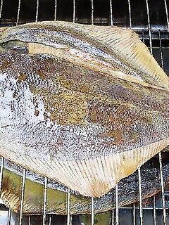 Камбала с берега в Норвегии: морская рыбалка на простой донке