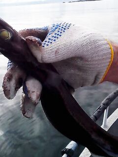 Полярный акулёнок с 180 м у Хитры