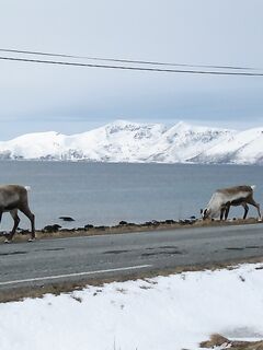 Норвегия природа в первозданном виде пара кадров для морской рыбалки
