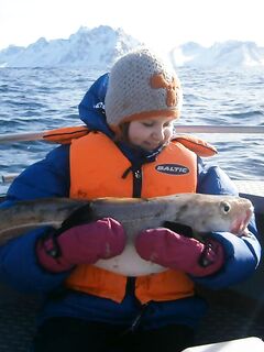 Ночь разделки и шутка дочки про самофилеровку рыбы