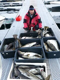База и место понравились морская рыбалка по фьорду и полянкам