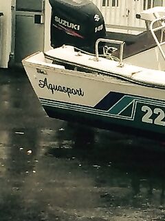 Перевёрнутая лодка у берега: сводка прессы