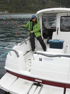 Навигатор подводная скала и касатка у борта