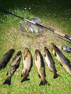 Озёрная рыбалка в Норвегии и Долмсундет Марина