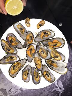 Норвегия: вкусно, а рыбалка идёт