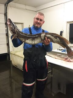 Пятачок 700 м и серия поклёвок на одном месте