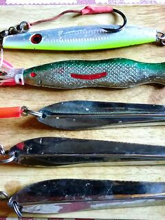 Торсвог август 2015 морская рыбалка по сайде 6–12.5 кг