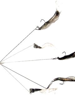 Сайда в толще: «Алабамский зонтик» вместо попперов