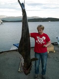 Сезон морская рыбалка в Норвегии: палтус шёл стабильно и один долгий бой