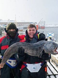 Сорёйя, Норвегия — зубатка у знакомых