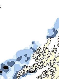 Скрей в Норвегии: почему вне Лофотен попадается мелочь