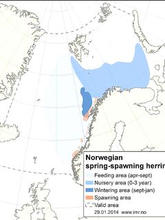 Норвежская сельдь по слоям карты, что означает легенда