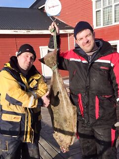 Первый выход в Норвегии и палтус 22 кг, морская рыбалка по-честному