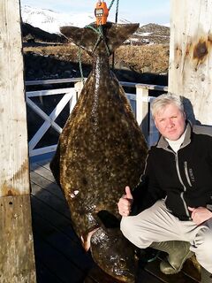 Фотоотчёт с базы BigFishAdventure на Сёрёйе