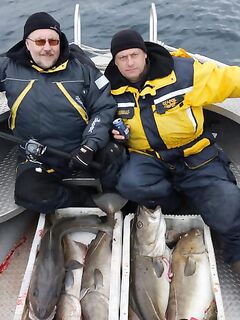 Норвегия: Mefjord Brygge и морская рыбалка на плато