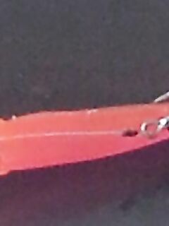 Норвегия - палтус на 45-50 м и розовый Royber