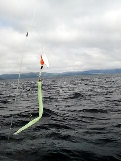 Норвегия, предоплата и сервис баз