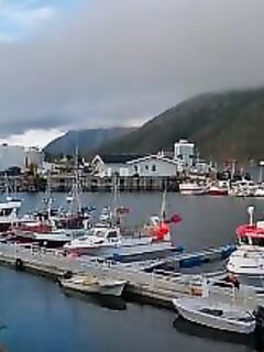 Кухня Норвегии для рыбака: копчёная макрель и мидии в сливках