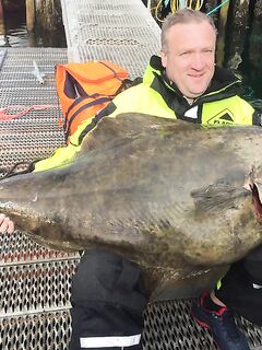 Палтусы на мёртвую рыбку в Норвегии, рыбалка с клиентами и честные 45 кг